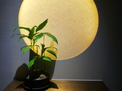 -王府茶宴(大观园总店)