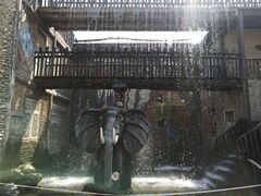 -呀路古热带植物园