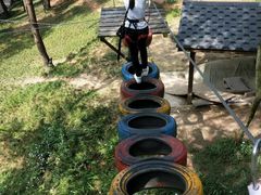 -梦幻奥陶纪景区