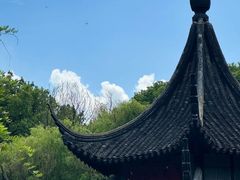 -西园寺素食(西园弄戒幢律寺店)