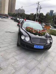 -蚂蚁婚车