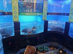 -千岛湖小鱼儿·淳安匠心农家菜