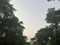 -海珠湖公园