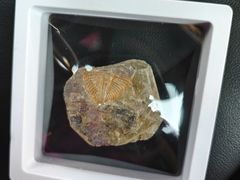 -房山世界地质公园博物馆