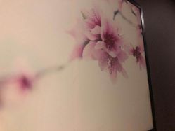 -时尚殿堂·颜SPA