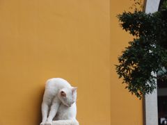 -杭州上天竺法喜讲寺