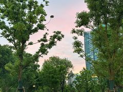 -上海体育场