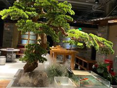大堂-丹江渔村(首都机场店)