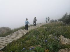 -白草畔自然风景区