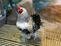 -苏州海洋馆