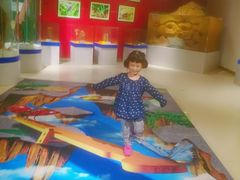 -上海昆虫博物馆