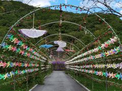 -参仙谷生态旅游度假区