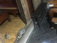 -龙姐私房菜(和顺古镇店)