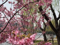 -新江湾城公园