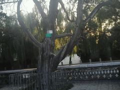 -百泉景区
