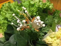 -掂档潮汕牛肉火锅(沈阳万象城店)
