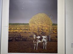 -中国版画博物馆