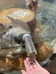 -Zoolung Zoolung动物主题公园(海信广场店)