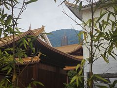 -深圳仙湖植物园