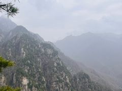 -陕西省红河谷森林公园