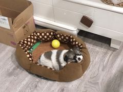 -联合动物医院(光谷诊疗中心)