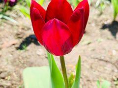 -长春公园(普阳街道)