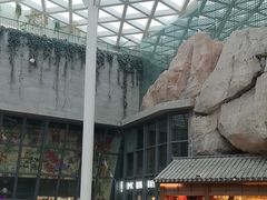 -阿大排档(长春这有山店)