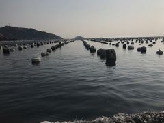 -枸杞岛
