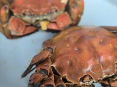 -品鲜村农家菜·阳澄湖大闸蟹(总店)