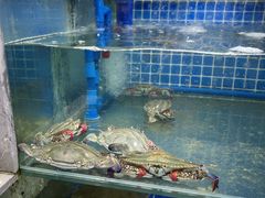 -常家活海鲜小吃(仅一家无分店)