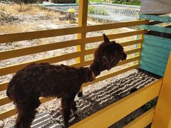 -美家乐农庄·露营·团建(大治路店)