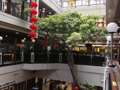 -广州酒家(文昌总店)