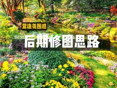 -上海共青森林公园