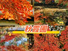 -秋霞圃
