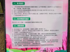 -田园东方蜜桃村的田野营地