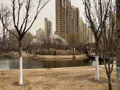 -南翠屏公园