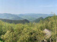 -莫干山风景区