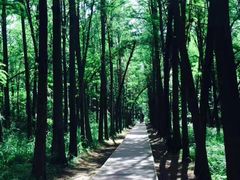 -同里国家湿地公园