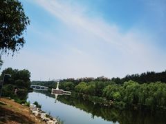 -马家湾湿地公园