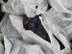 -马陆小张葡萄园农家乐