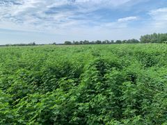 -汉长安城未央宫国家考古遗址公园