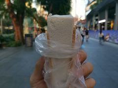 -詹爷爷乌节路街头冰淇淋