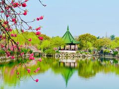 -无锡蠡湖国家湿地公园-蠡园