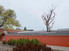 -北京市劳动人民文化宫(太庙)