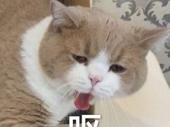 -清心素食自助餐厅(夫子庙店)