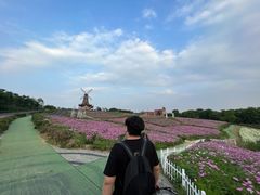 -大塘金香草谷