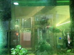 -齐海鱼圣深海石斑鱼火锅店(极地海洋世界店)