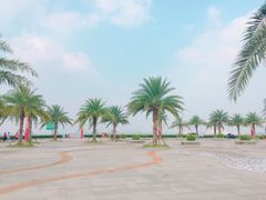 -海鸥岛