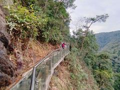 -九龙江国家森林公园