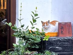-曾福兴